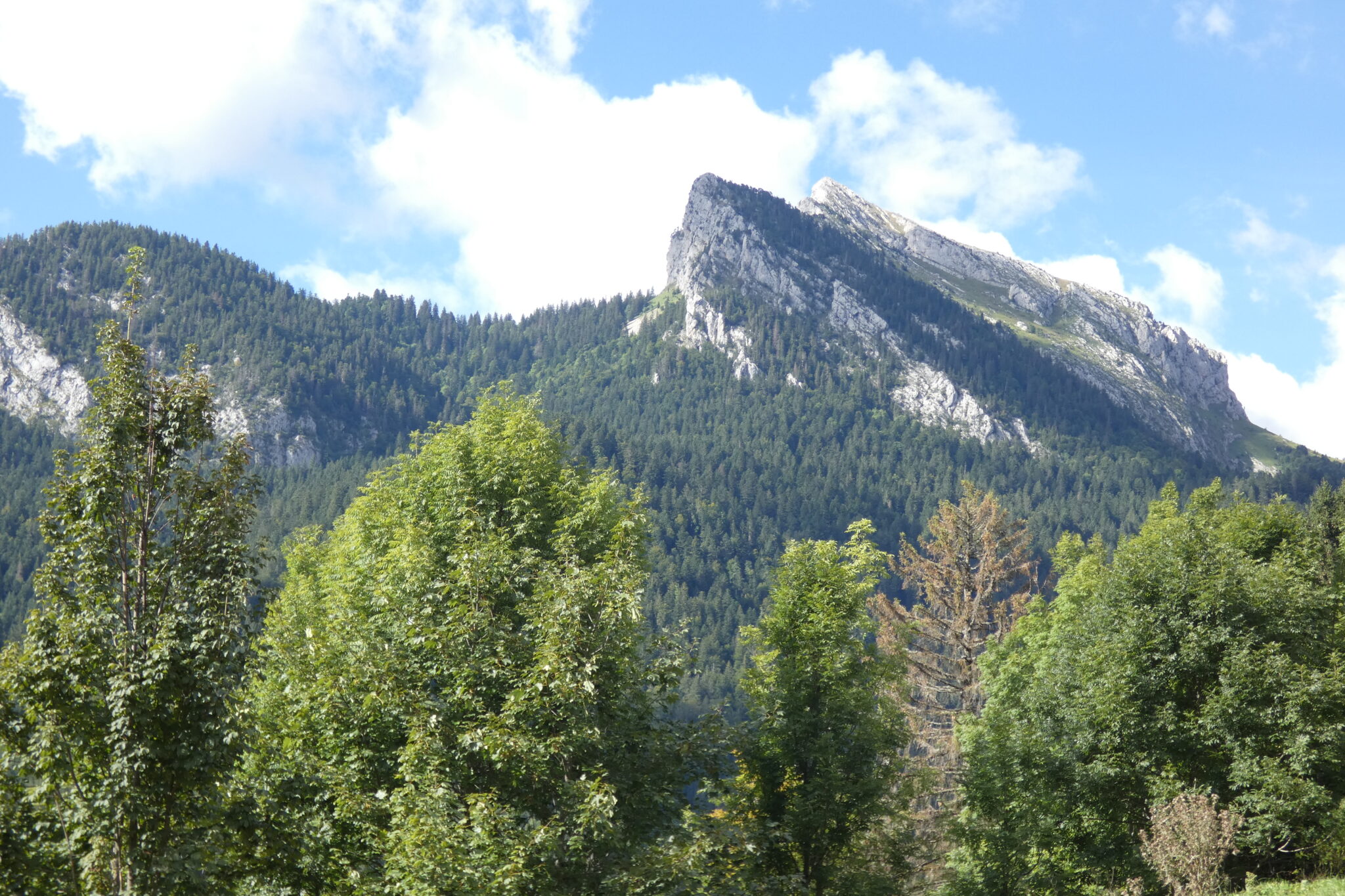 Gîte Digital Detox en Chartreuse | Le Chat Botté